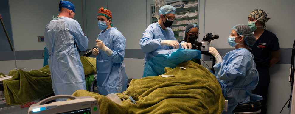 Transforming lives, one eye at a time: Local medical personnel take part in ophthalmology mission, Panamax Alpha 2023