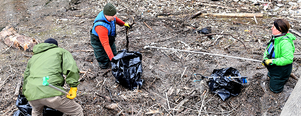 Stormwater runoff: Know what's in the flow