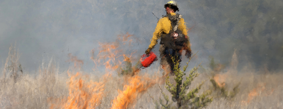 Prescribed burns transform JBSA-Camp Bullis