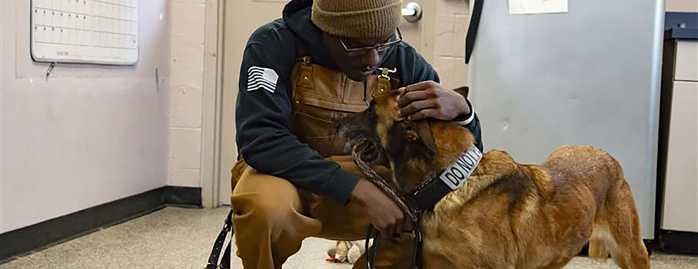 K-9 Connection: Exploring the bond with a Military Working Dog