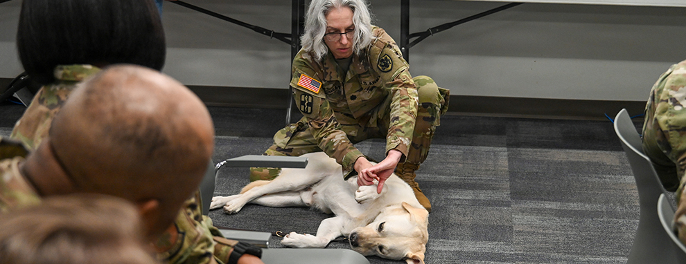 Alamo Wing medics train to save four-legged patients