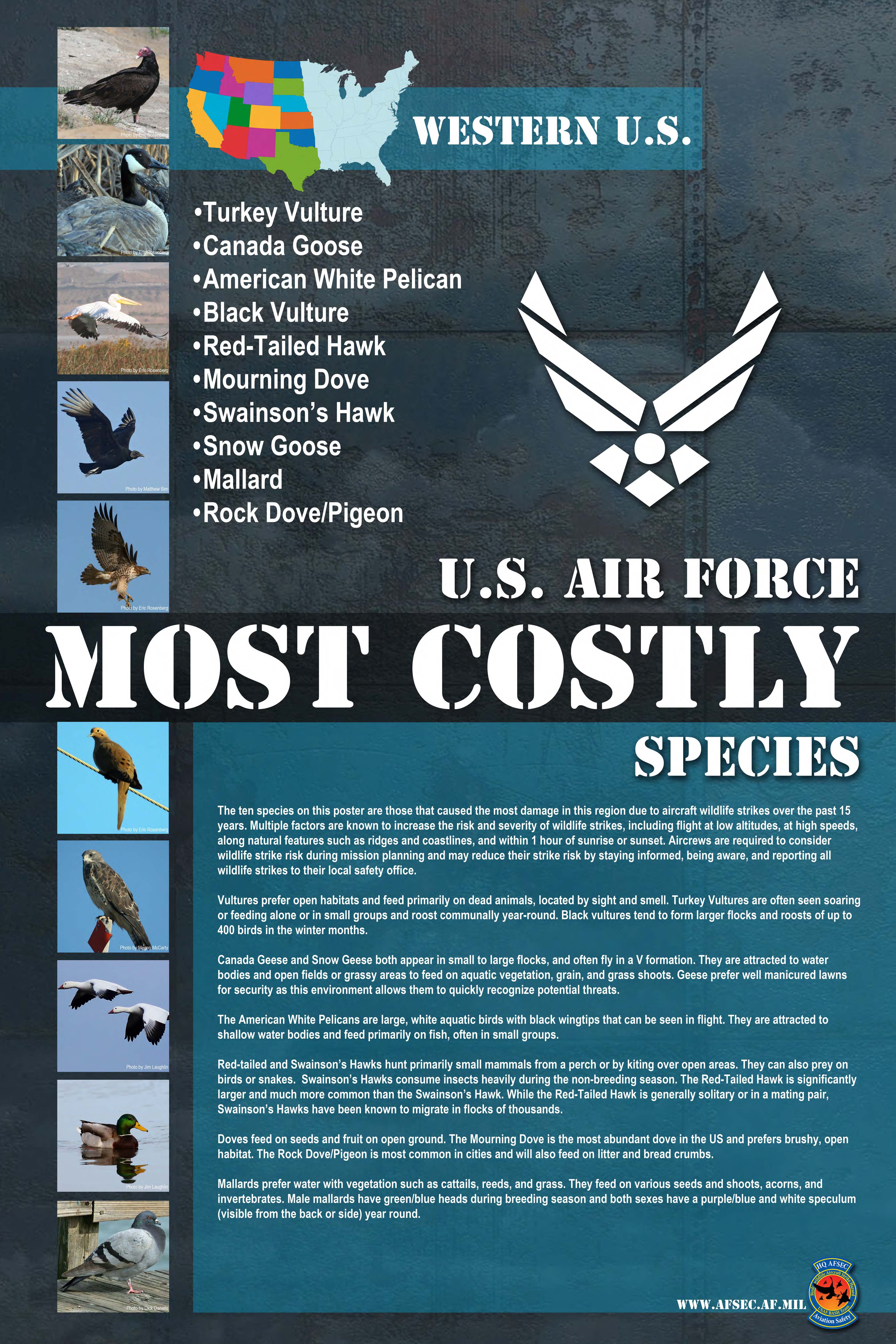 A list of bird species that caused the most damage due to aircraft/wildlife strikes over the past 15 years.