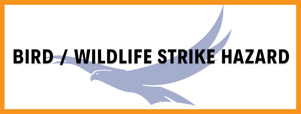 Banner reading "Bird/Wildlife Strike Hazard"